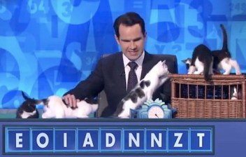 gameshowcat.jpg