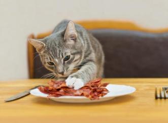 baconcat