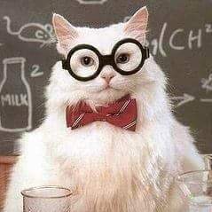 sciencecat