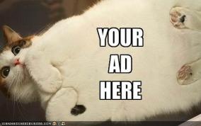 advertisingcat