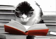 BooksCat